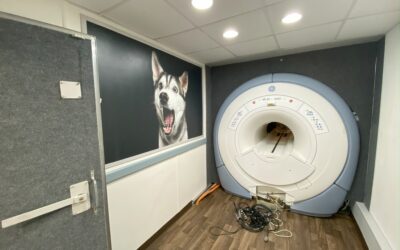 GE Mobile MRI 1.5T CXK4 Signa HDxt 23X – 16 Channel